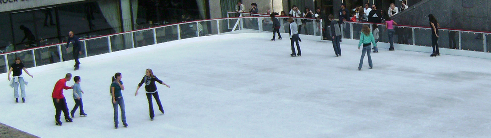 Ice Rink Skids